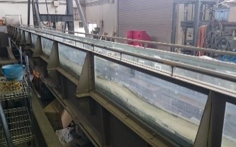 見学